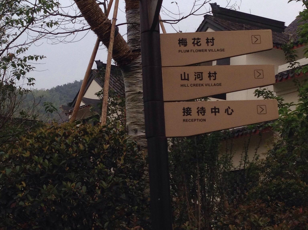 安吉大年初一风景度假村主图