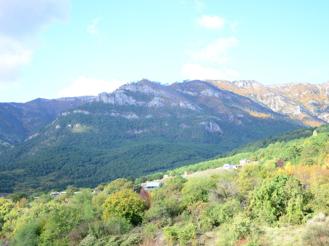 Villa Svetlana主图