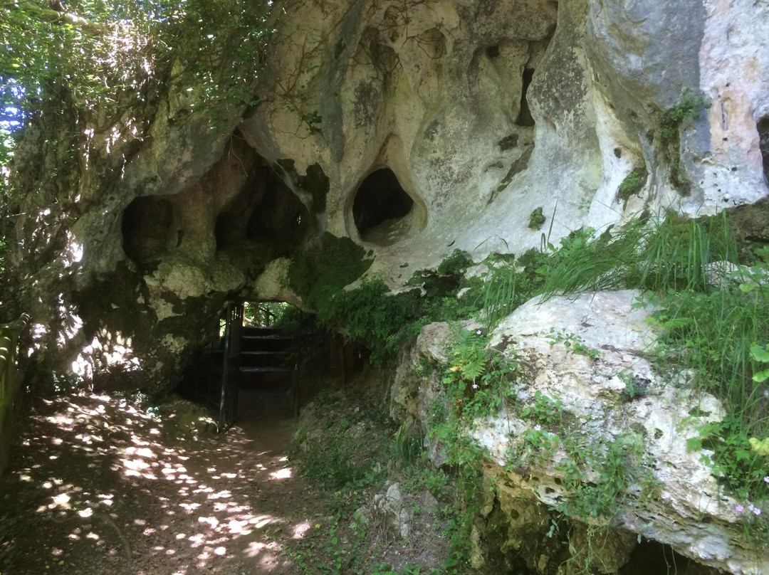 Cueva Del Buxu景点图片