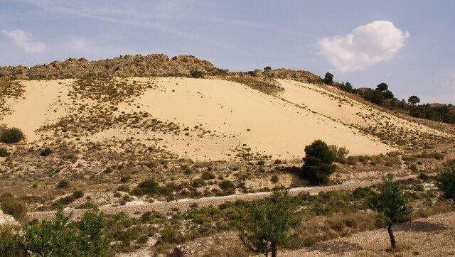 Petrel旅游攻略图片