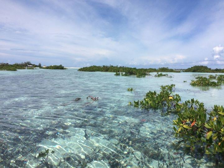 Big Blue Collective-普罗维登西亚莱斯必去景点