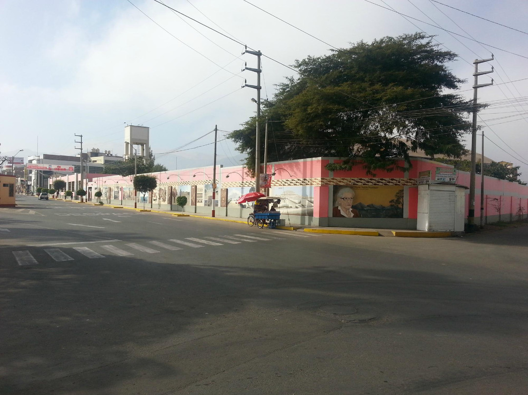 Mural of Maria Reiche-纳斯卡必去景点