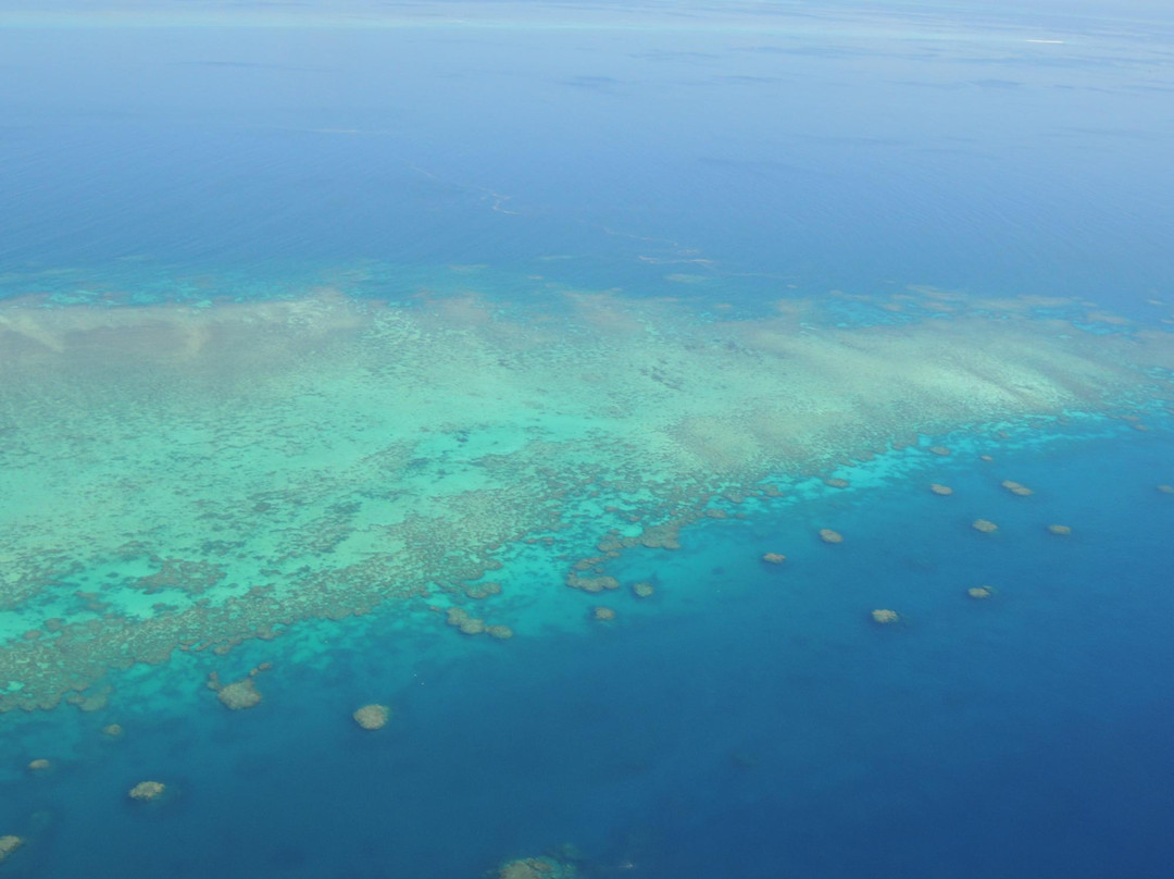 North Queensland Aero Club-凯恩斯必去景点