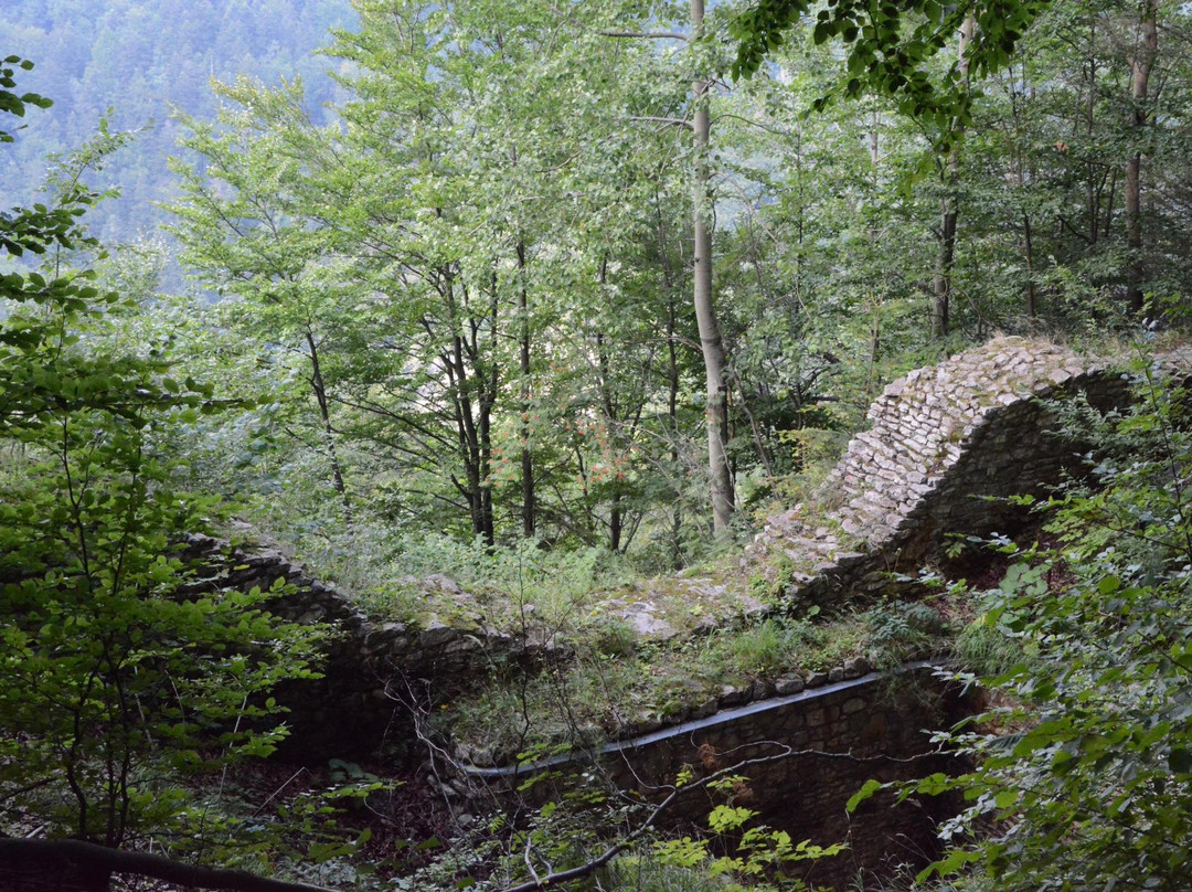 Pieniny Castle Ruins景点图片