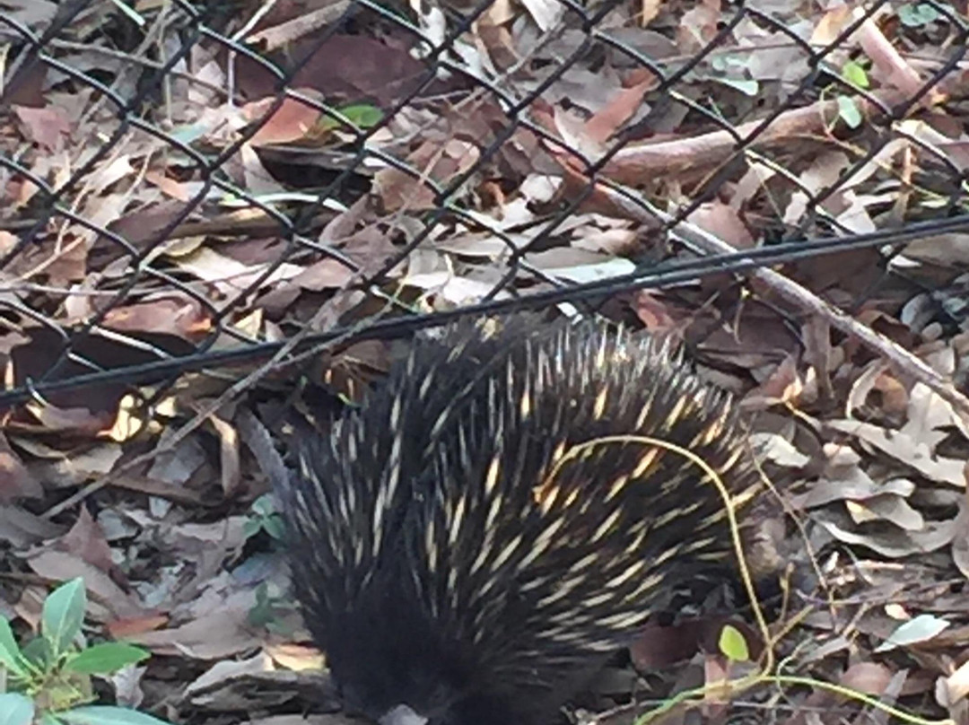 Murrays Beach-Swansea必去景点