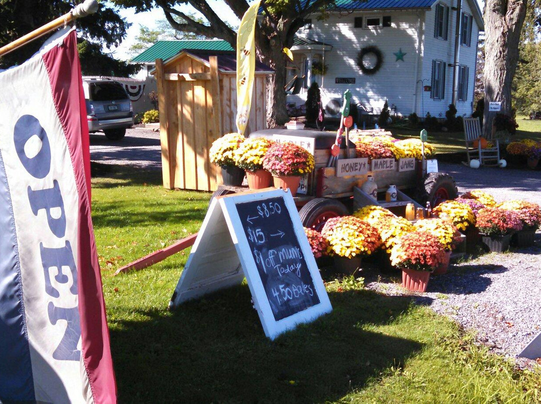 Kozy Kabin-Corfu必去景点