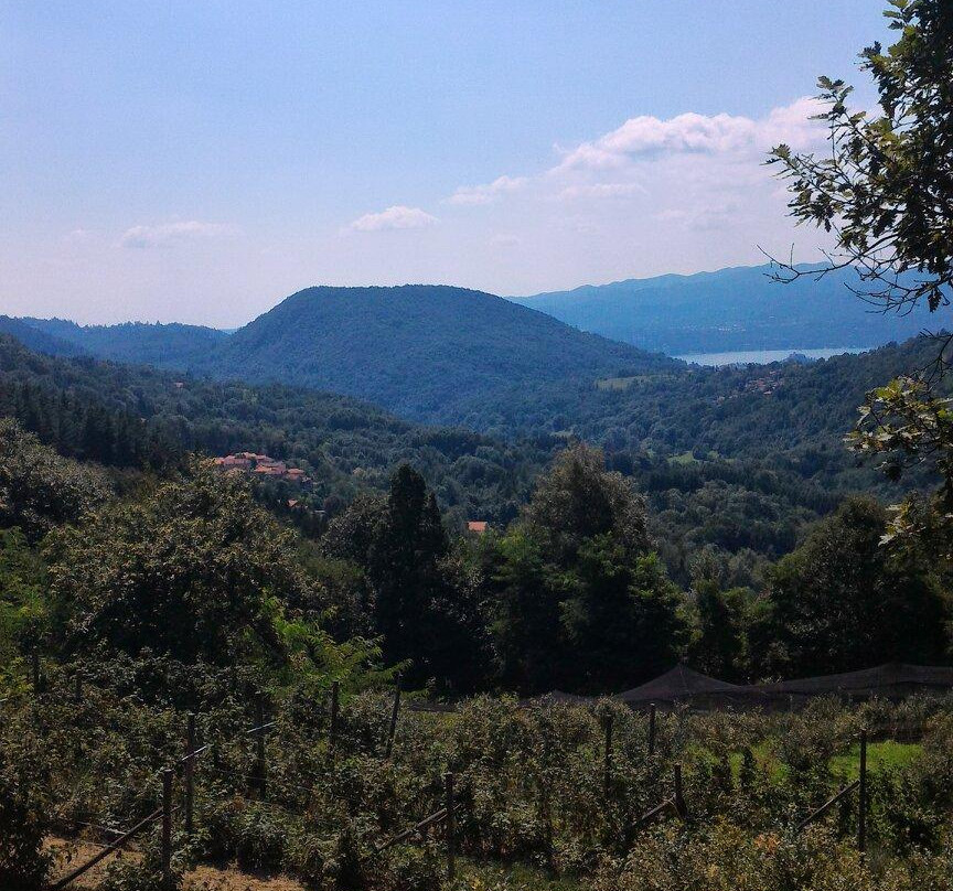 Ristorante Agriturismo Il Glicine
