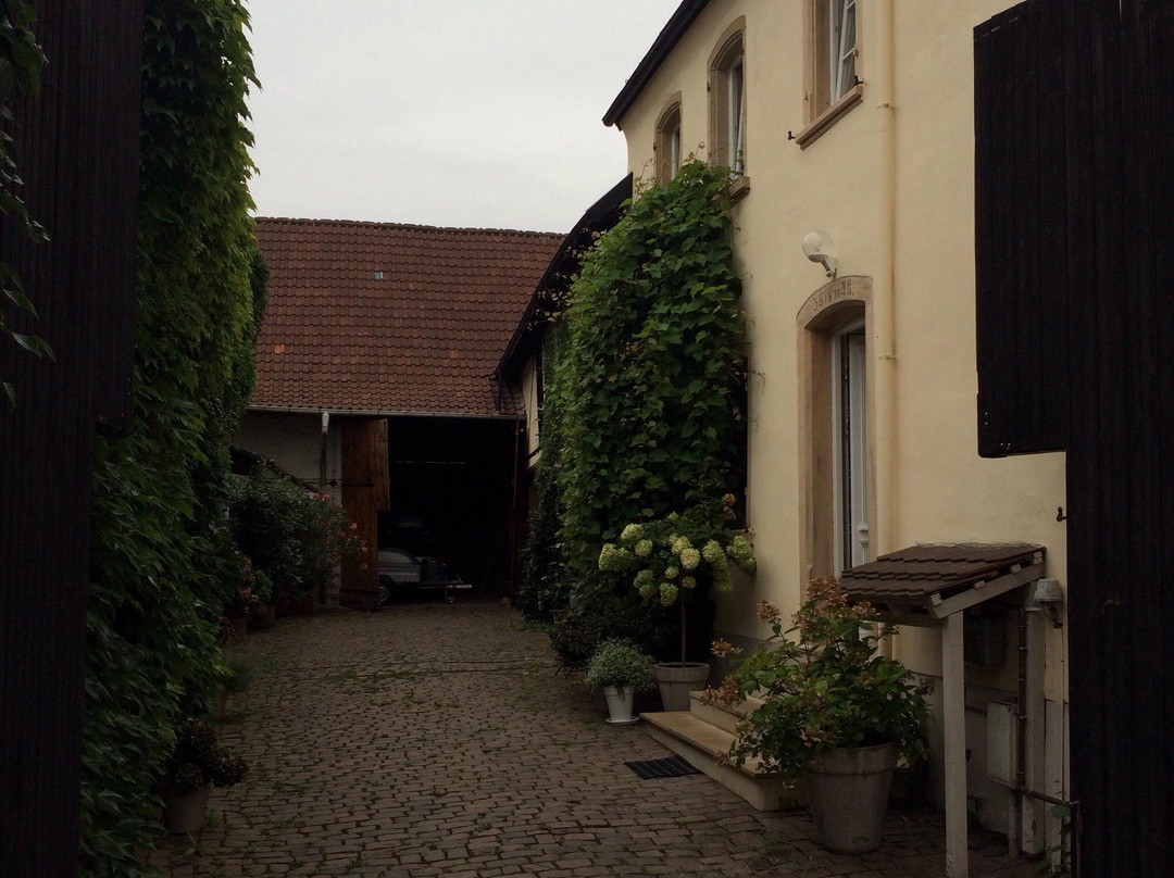 Gastehaus Gehrig主图