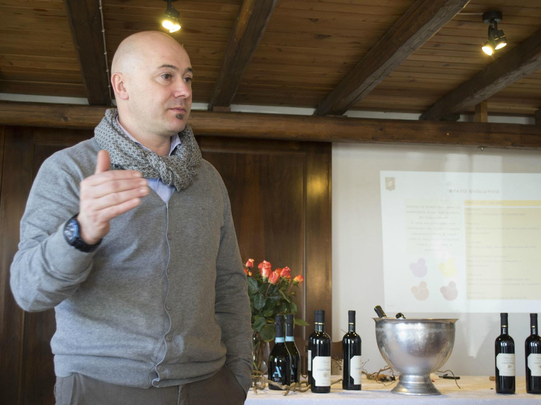 La Vigna del Cason Brusà-Fossalta di Portogruaro必去景点