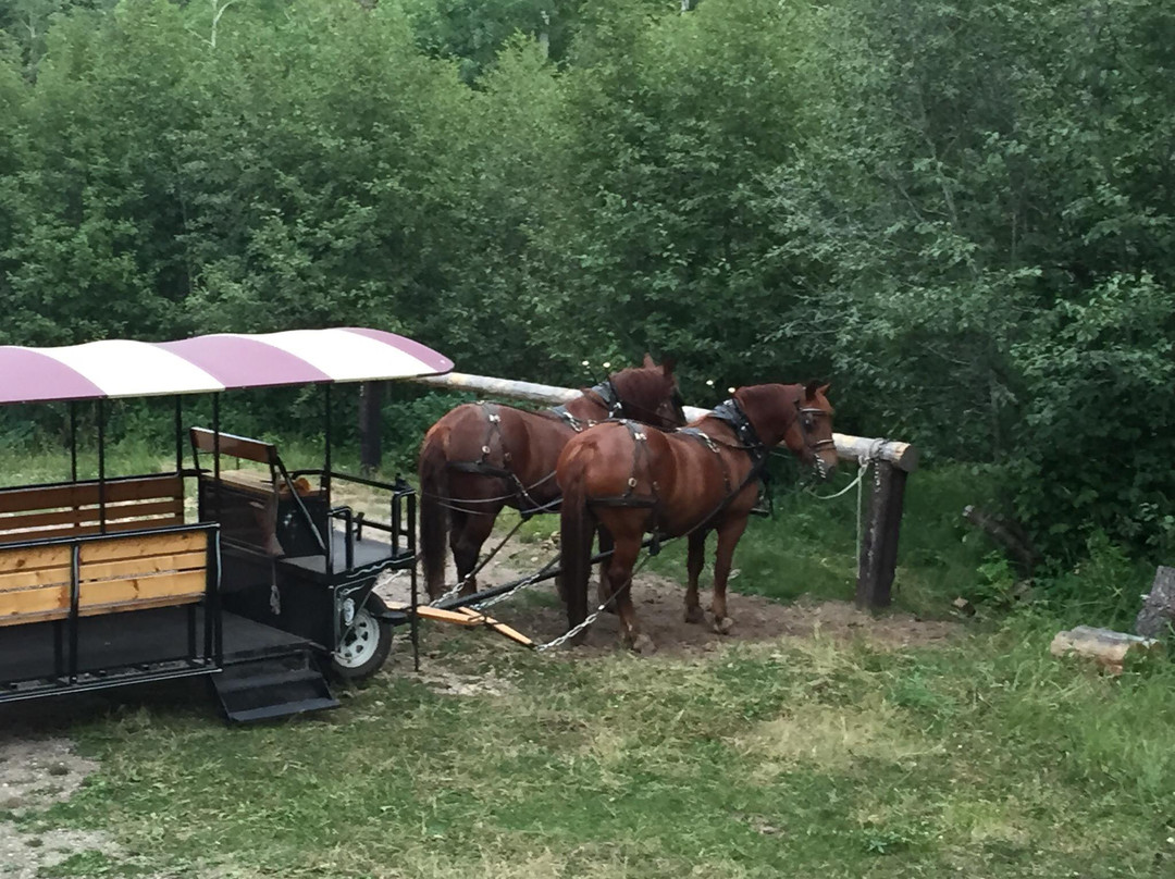 Last Chance Ranch-赫勒拿必去景点