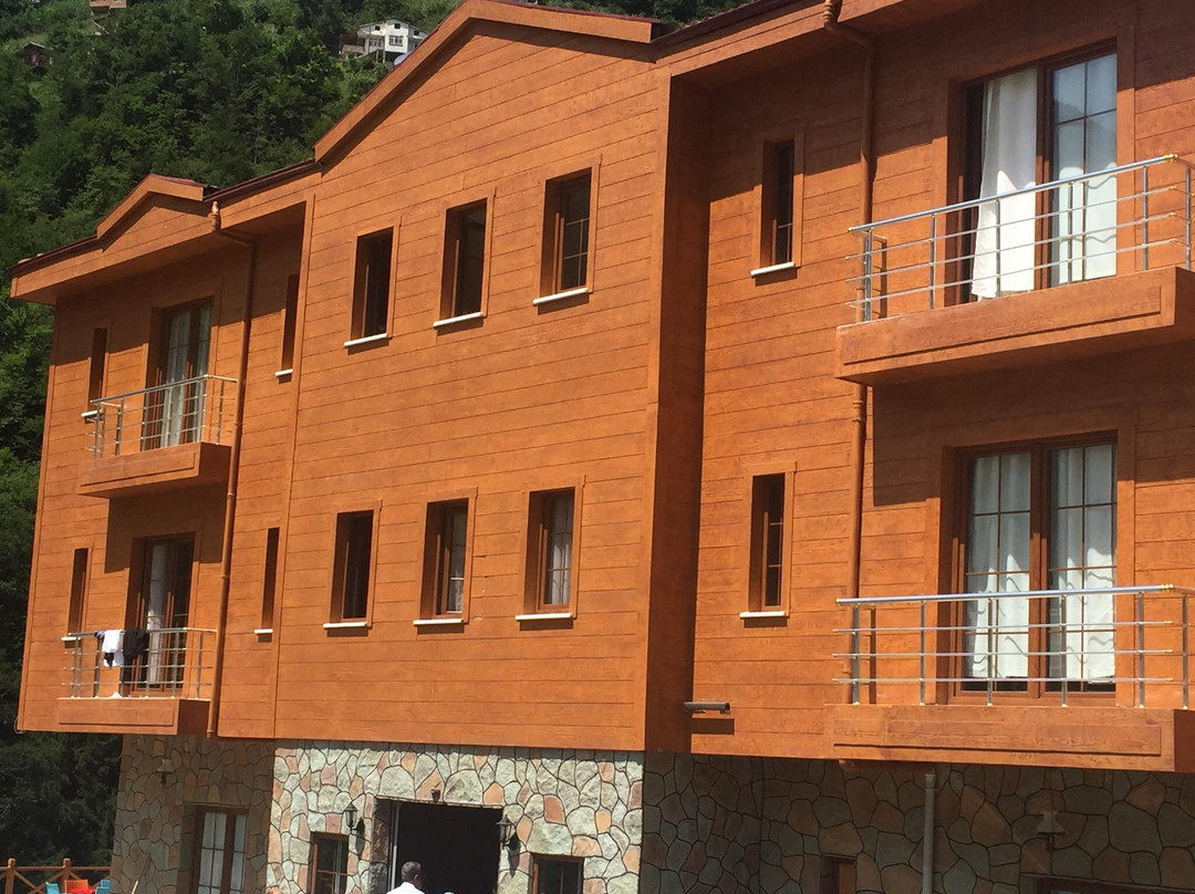 Uzungol Taskiran Ela Hotel主图