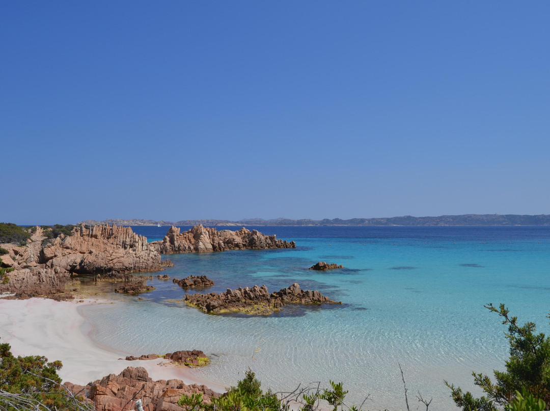 Spiaggia Rosa-Budelli必去景点