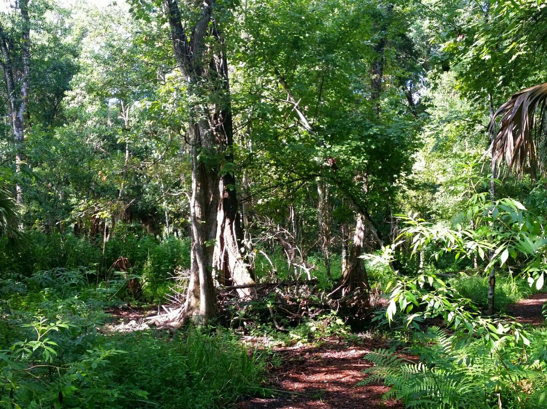 Lake Lotus Nature Park-阿尔塔蒙特斯普林斯必去景点