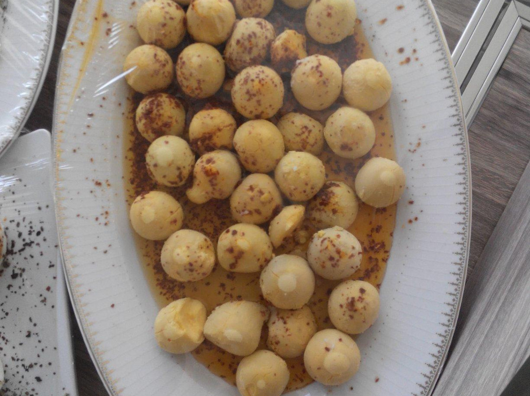 Avalon Altes Hotel主图