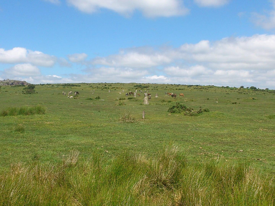 The Hurlers (3 stone circles)-利斯卡德必去景点
