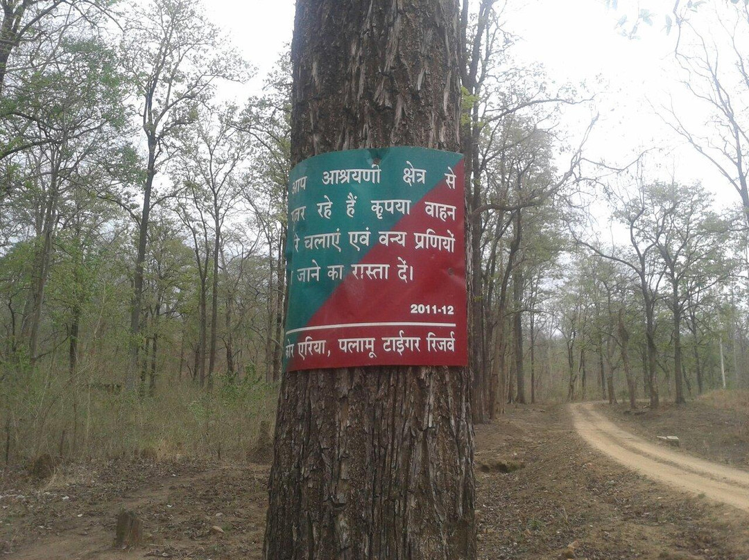 Palamau Tiger Reserve-Palamu District必去景点