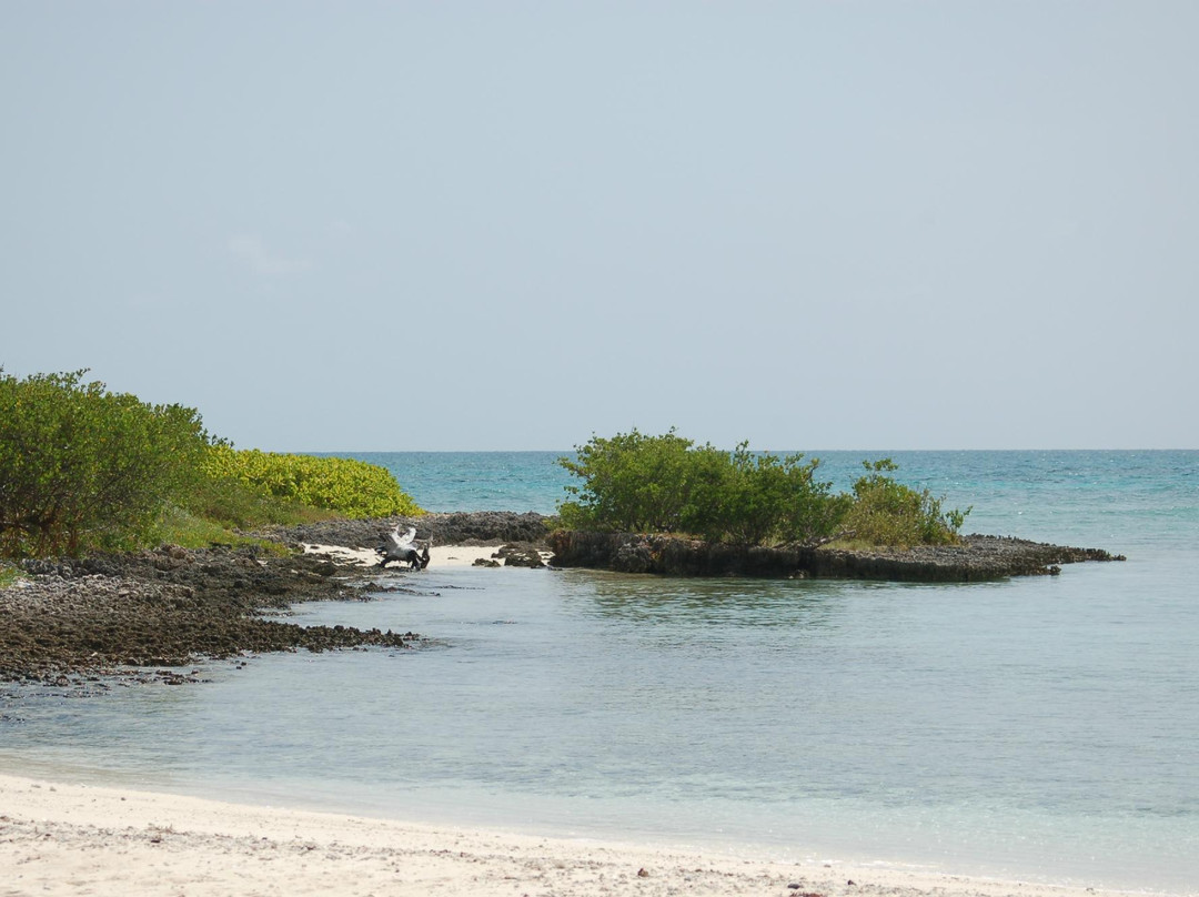 Peterson Cay-弗里波特必去景点