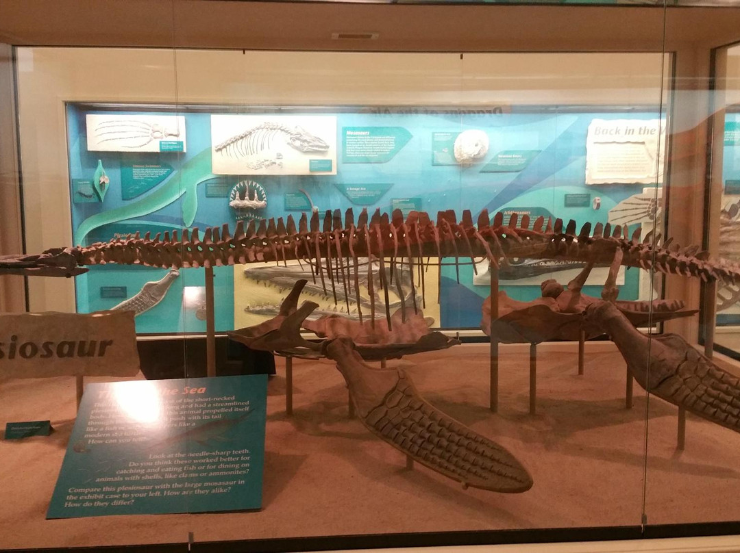 Sternberg Museum of Natural History-Hays必去景点