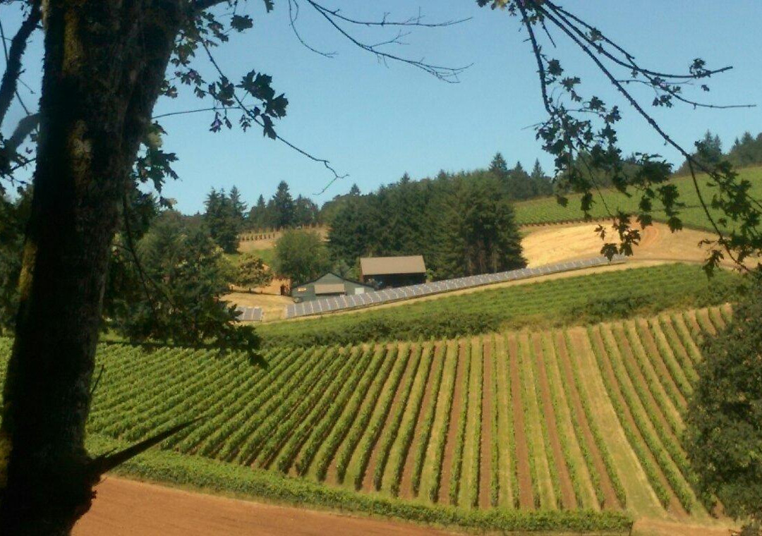 Durant Winery-Dundee必去景点