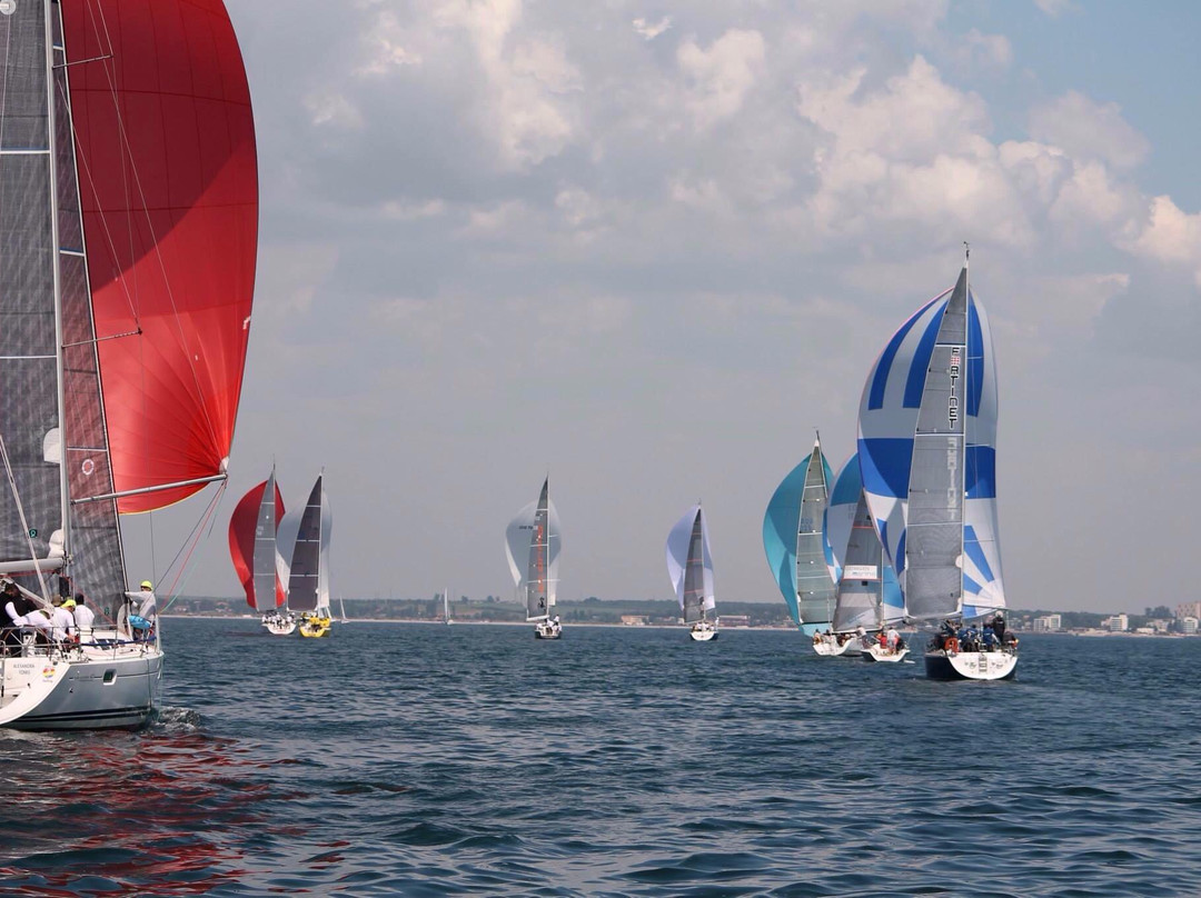 Mojo Sailing景点图片