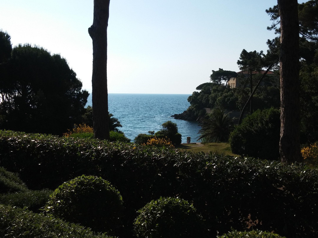 Villa La Pineta主图