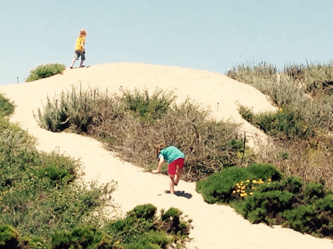 Sunset State Beach-沃森维尔必去景点