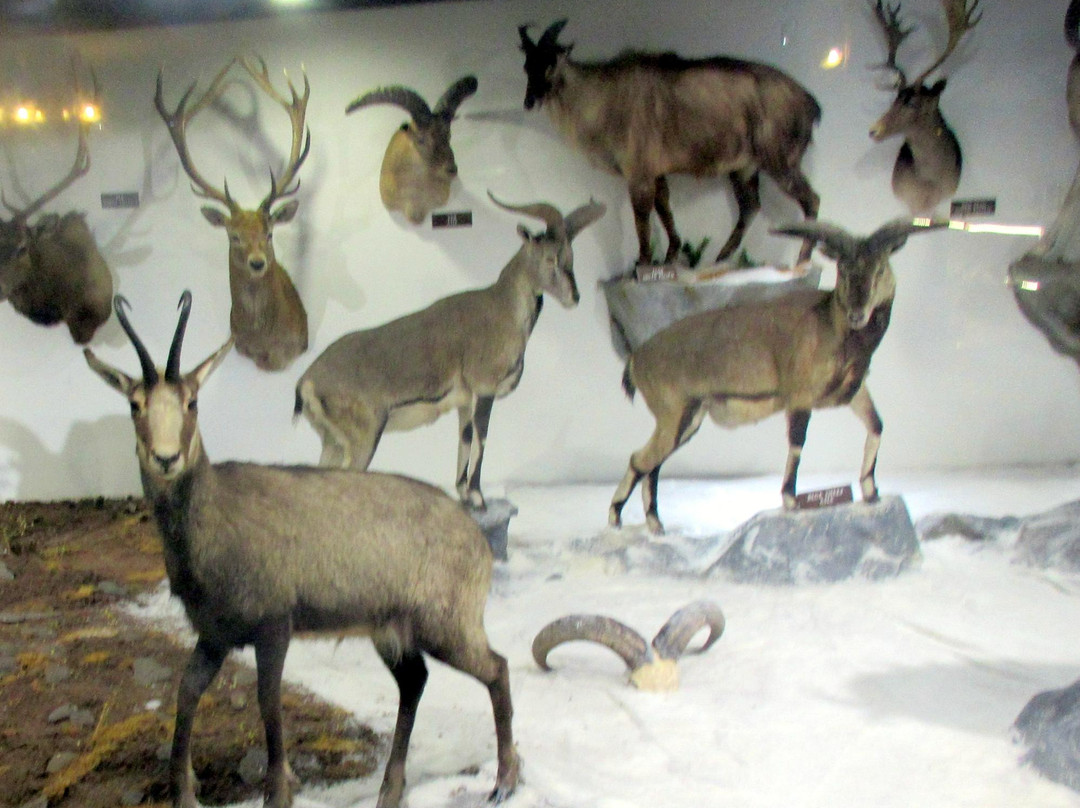 Visitor Center-温尼马卡必去景点