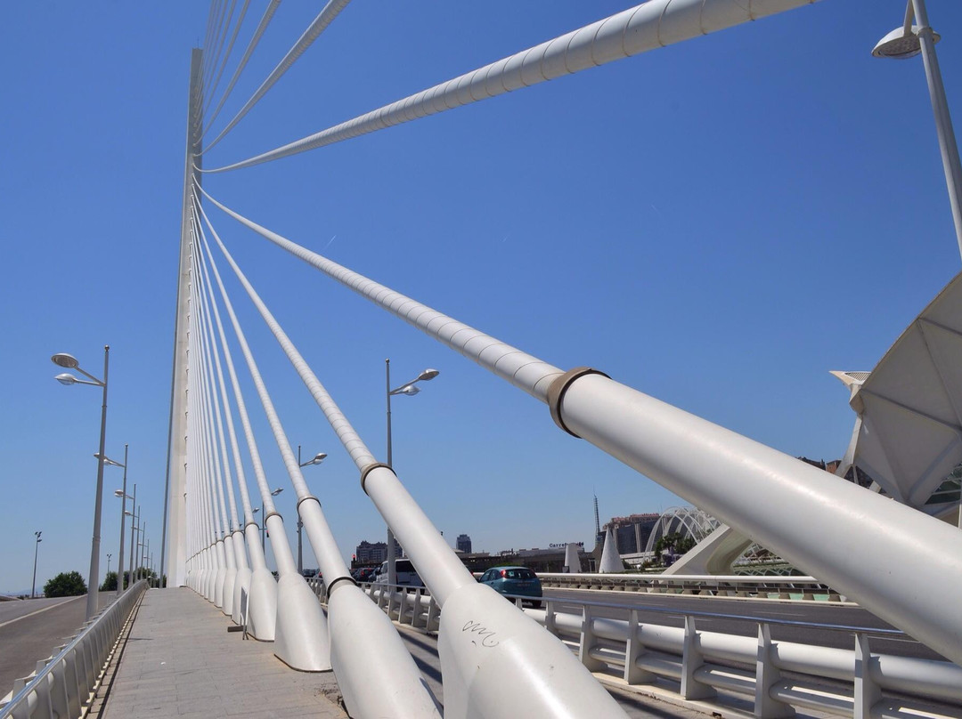 Pont de l'Assut de l'Or景点图片