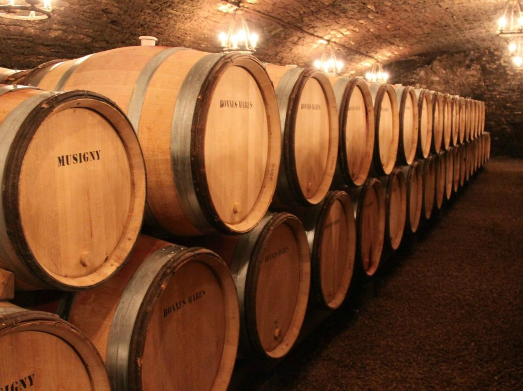 Divine Bourgogne Tours-博讷必去景点