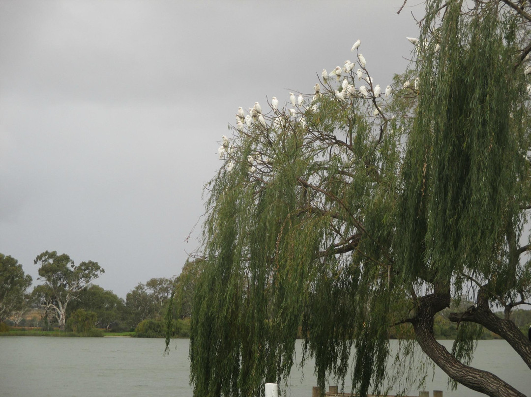 Mary Ann Reserve-Mannum必去景点