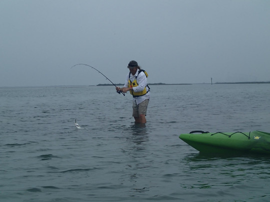 Rockport Kayak Guide Services-罗克波特必去景点