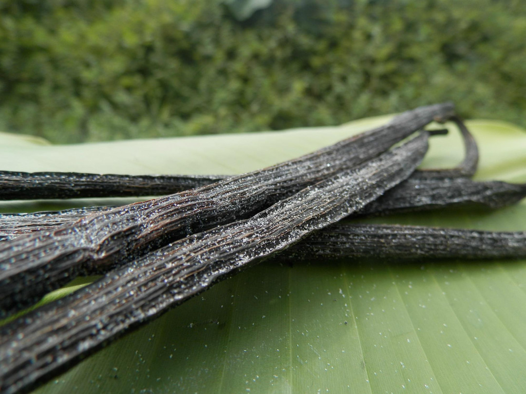 Kallari-Tena必去景点