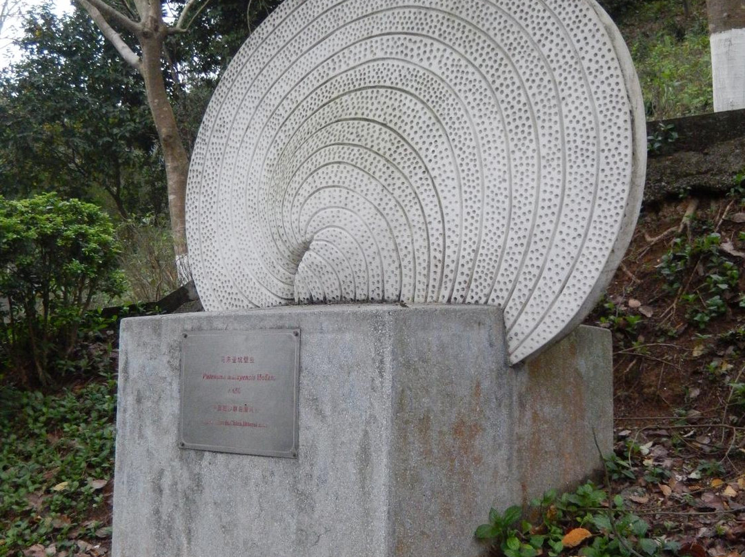 Foraminifera Sculpture Park-中山市必去景点