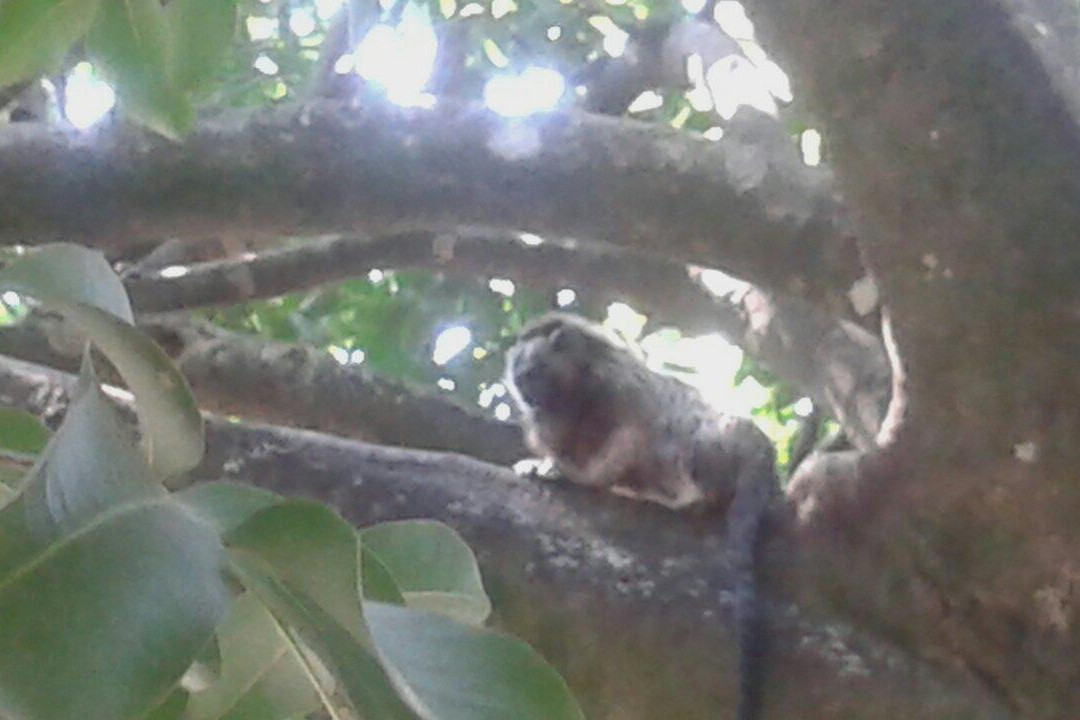 Parque Bolivar-Cartago必去景点