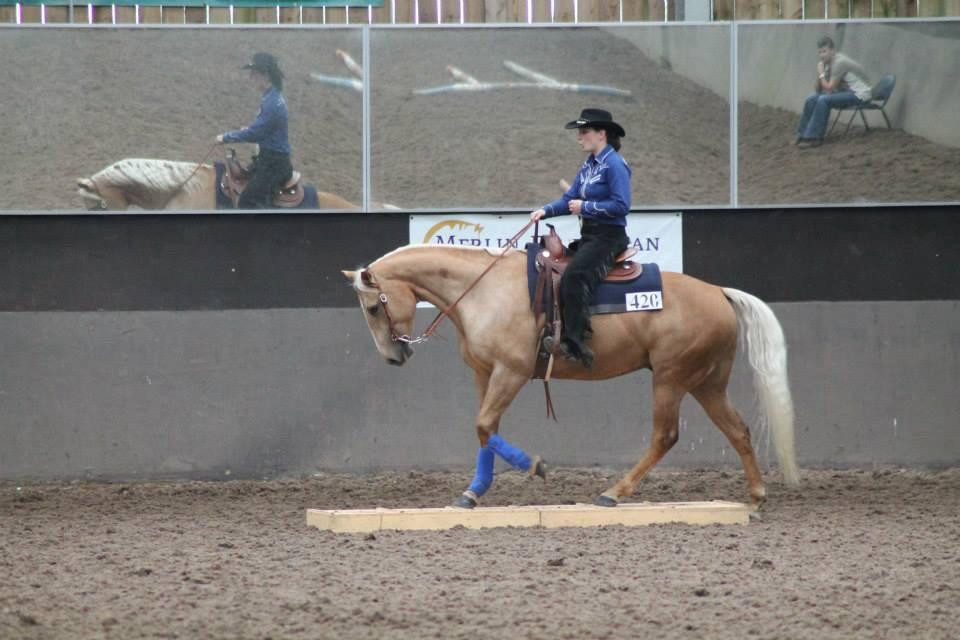 Hill Top Equestrian景点图片