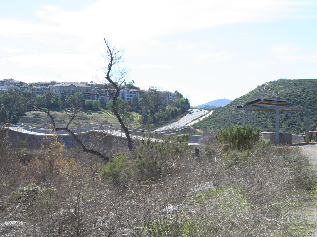 Lake Hodges Pedestrian Suspension Bridge景点图片