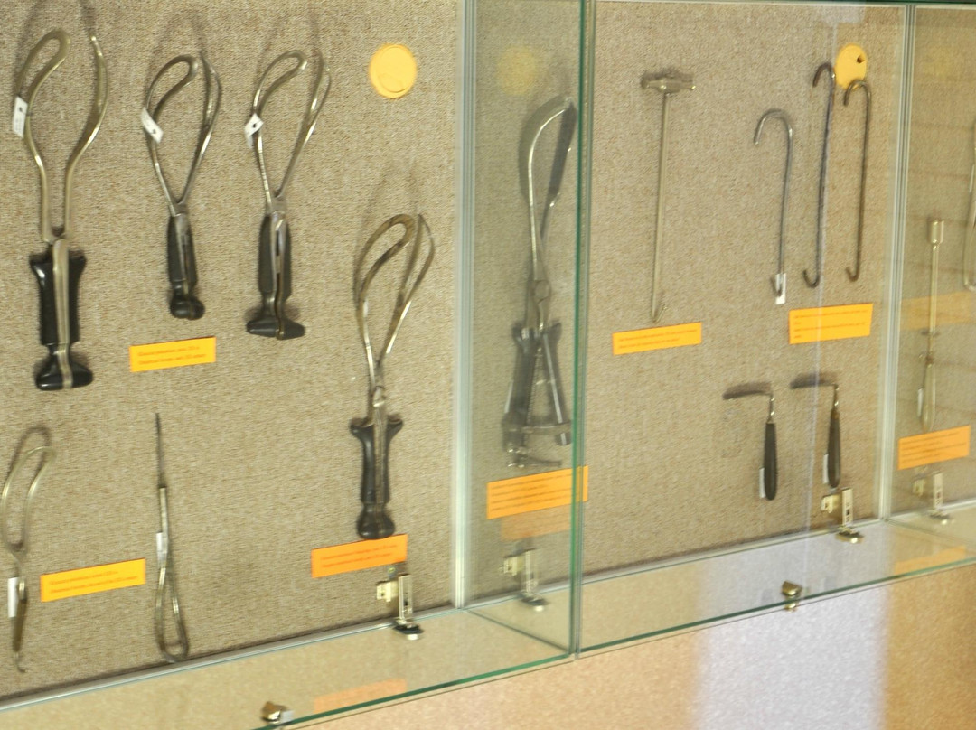 Medical University Museum-波兹南必去景点