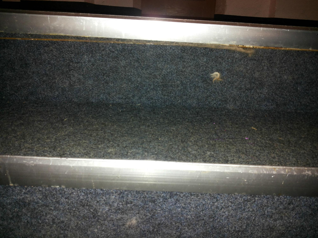 Hotel Gasthof Alter Wirt主图