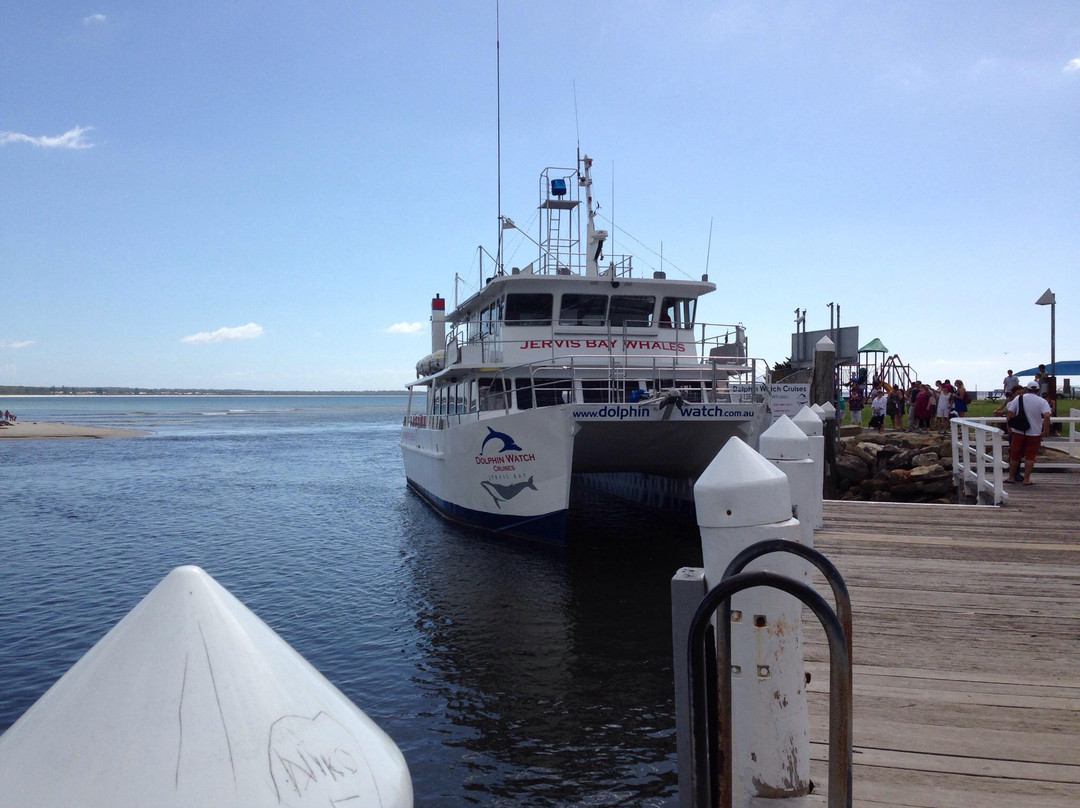 Dolphin Watch Cruises-赫斯基森必去景点