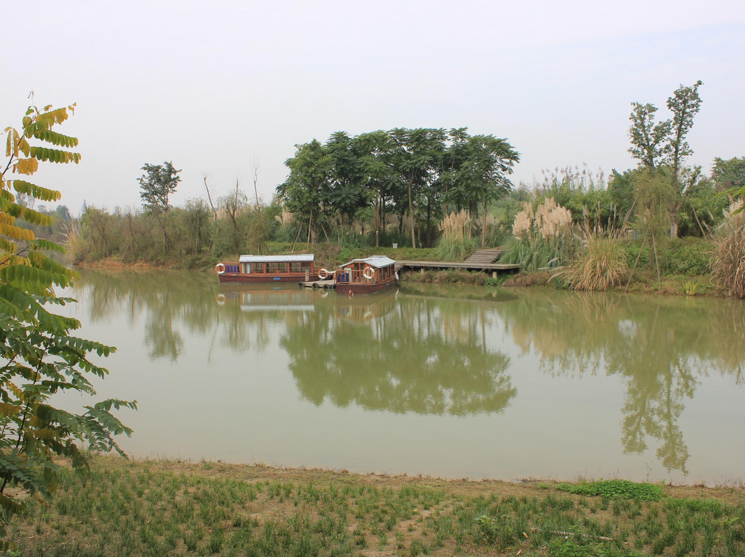 白鹭湾生态湿地公园-成都必去景点