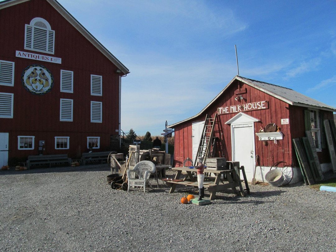 The Point Barn-Northumberland必去景点