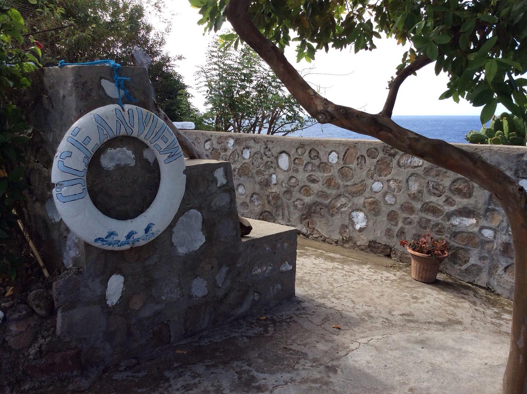 Oceanview Apartments