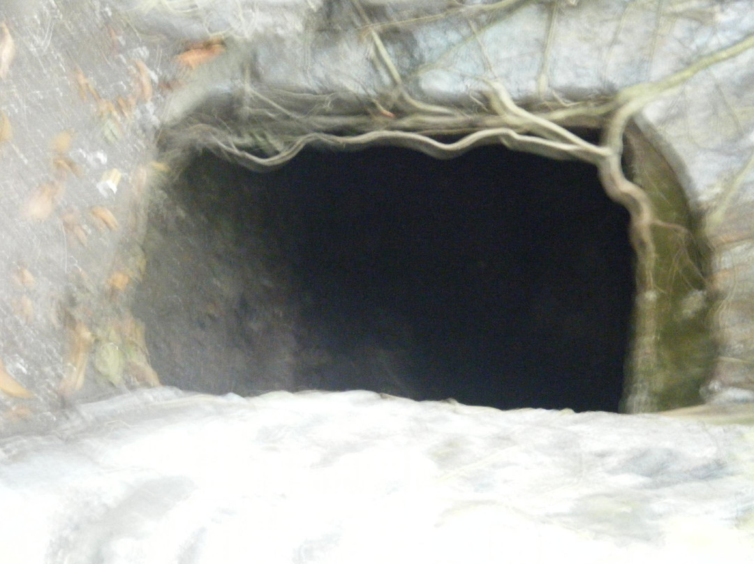 Bunce Island-弗里敦必去景点