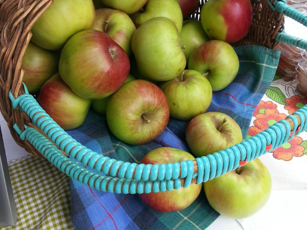 Mansfield Farmers' Market-曼斯菲尔德必去景点