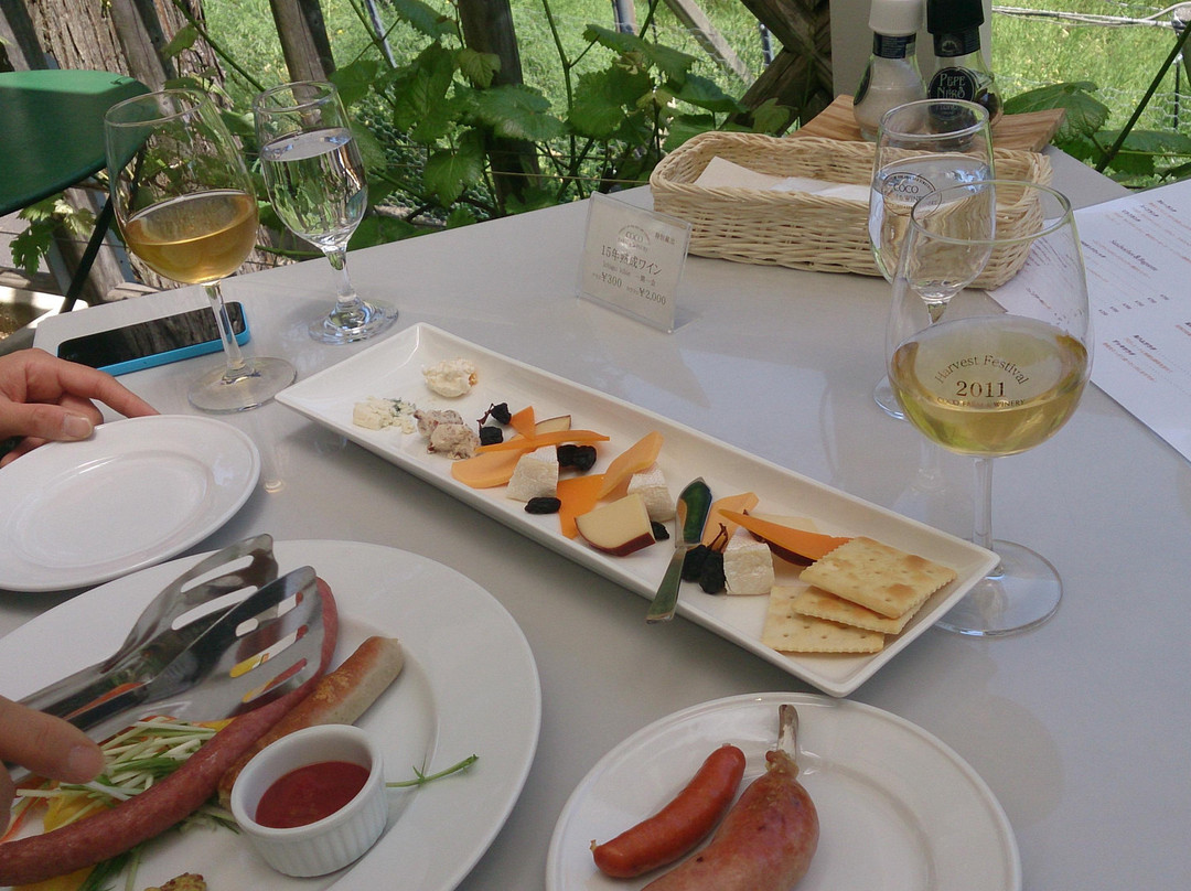 COCO FARM & WINERY-足利市必去景点