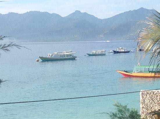 Blue Marlin Dive Gili Meno-Gili Meno必去景点