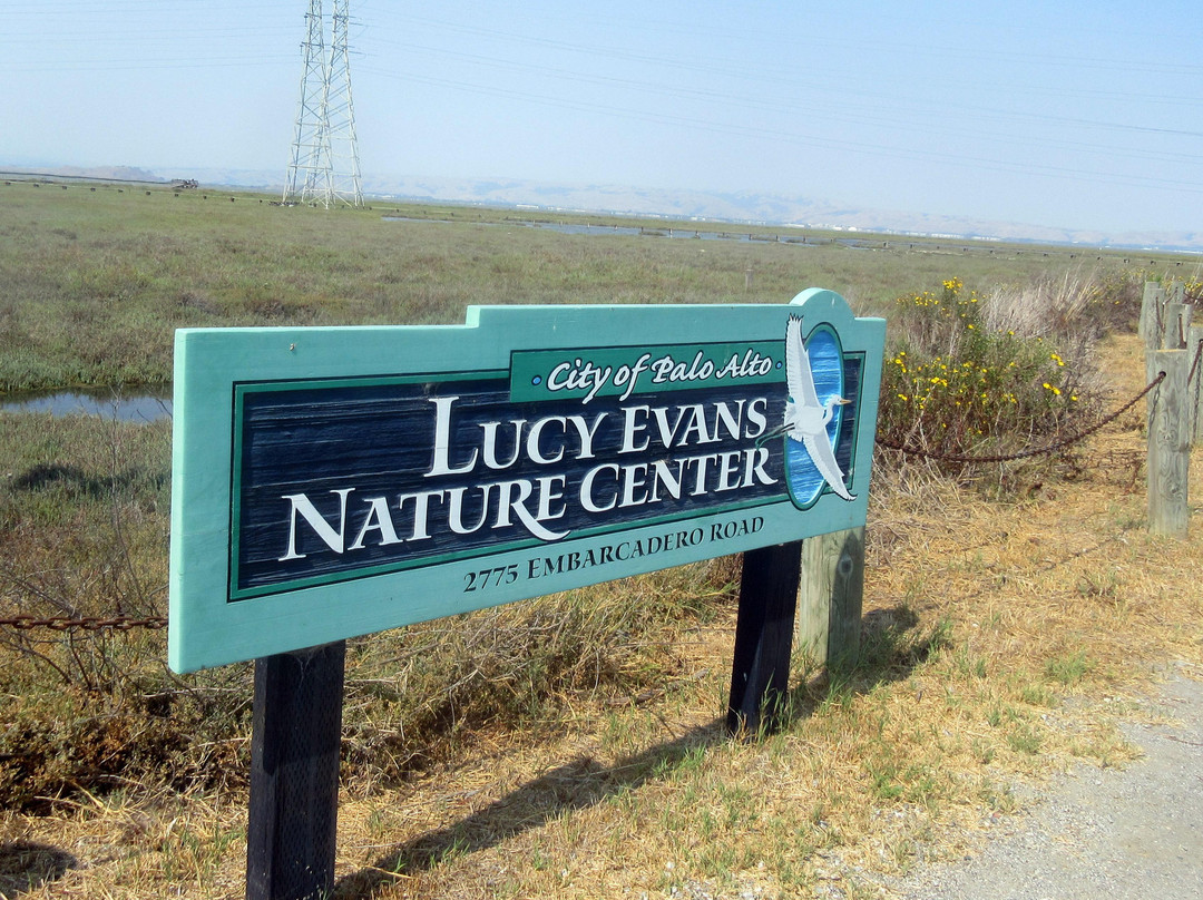 Lucy Evans Baylands Nature Interpretive Center-帕罗奥多必去景点