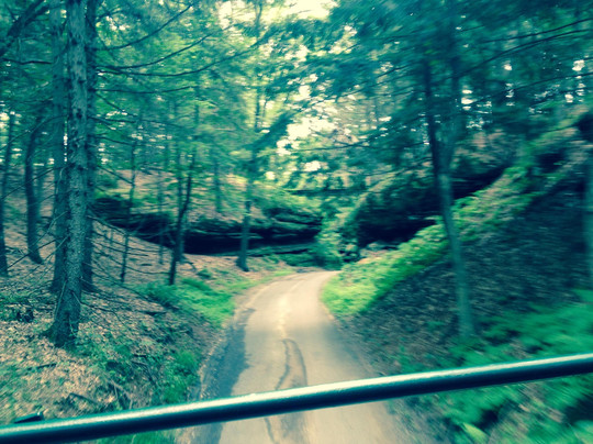 Original Wisconsin Ducks-威斯康星峡谷必去景点