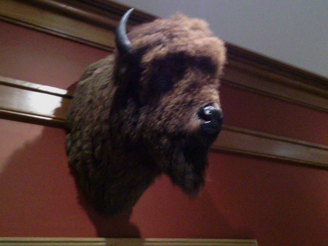 Frederic Remington Art Museum景点图片