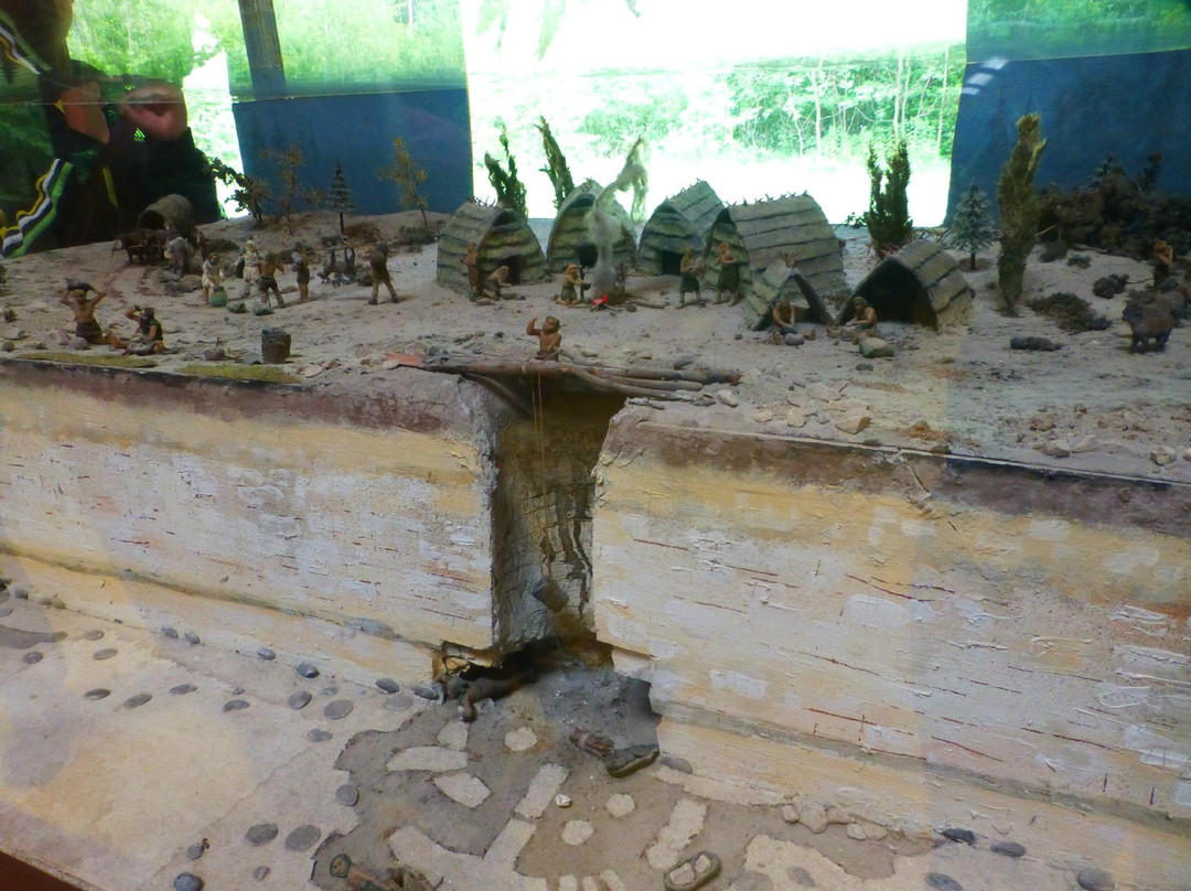 Krzemionki Archeological Museum景点图片